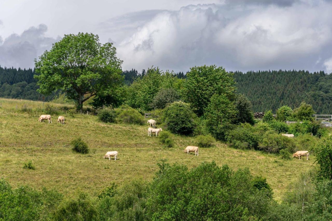 The Conscious Farmer Bed And Breakfast Sauerland Віллінген Екстер'єр фото