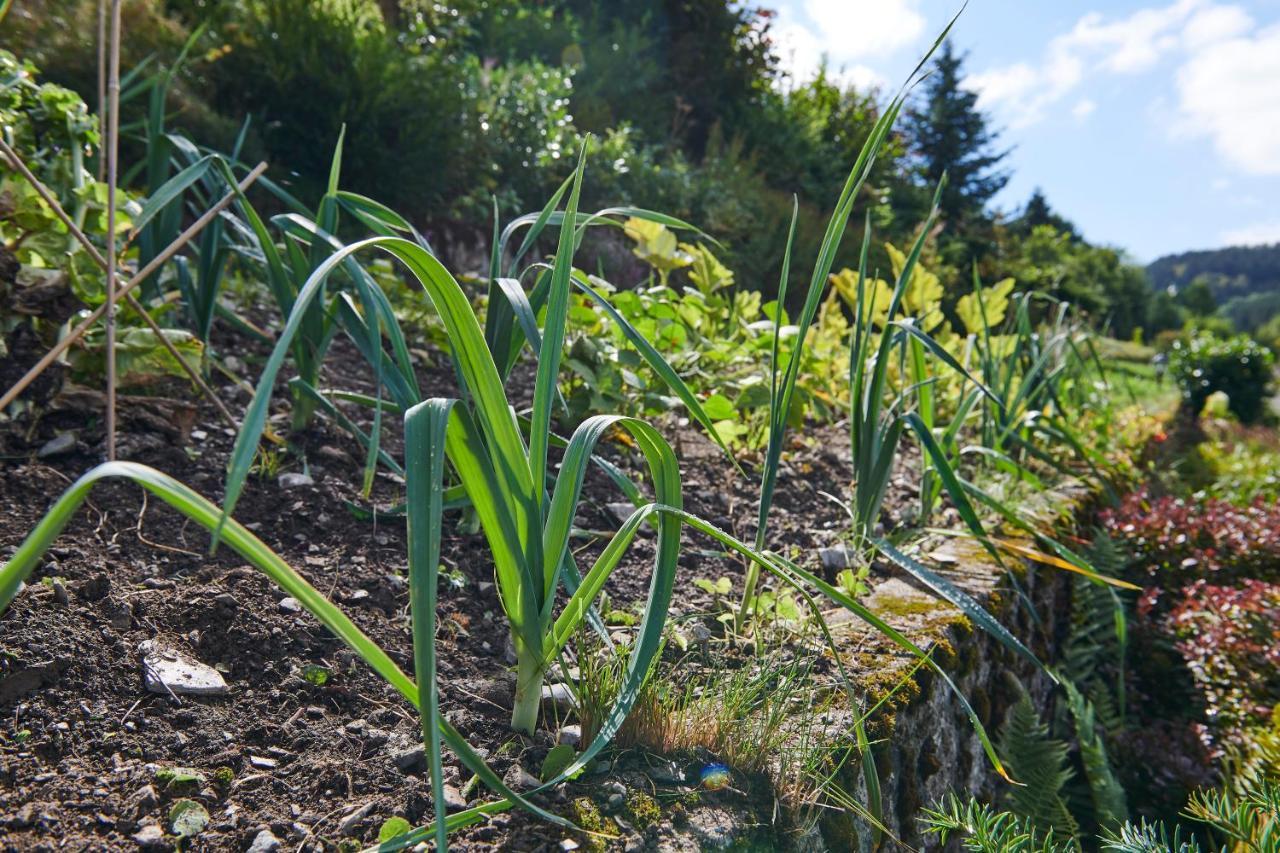 The Conscious Farmer Bed And Breakfast Sauerland Віллінген Екстер'єр фото
