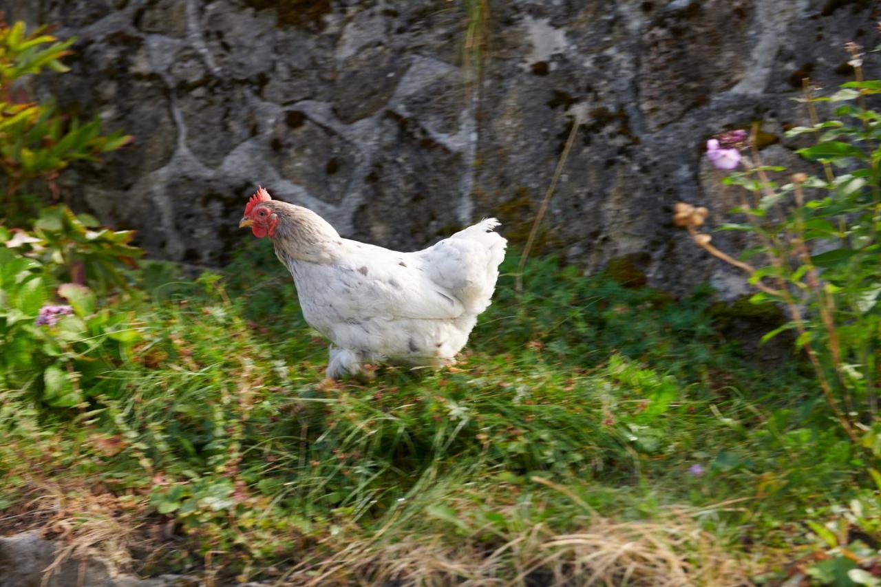 The Conscious Farmer Bed And Breakfast Sauerland Віллінген Екстер'єр фото