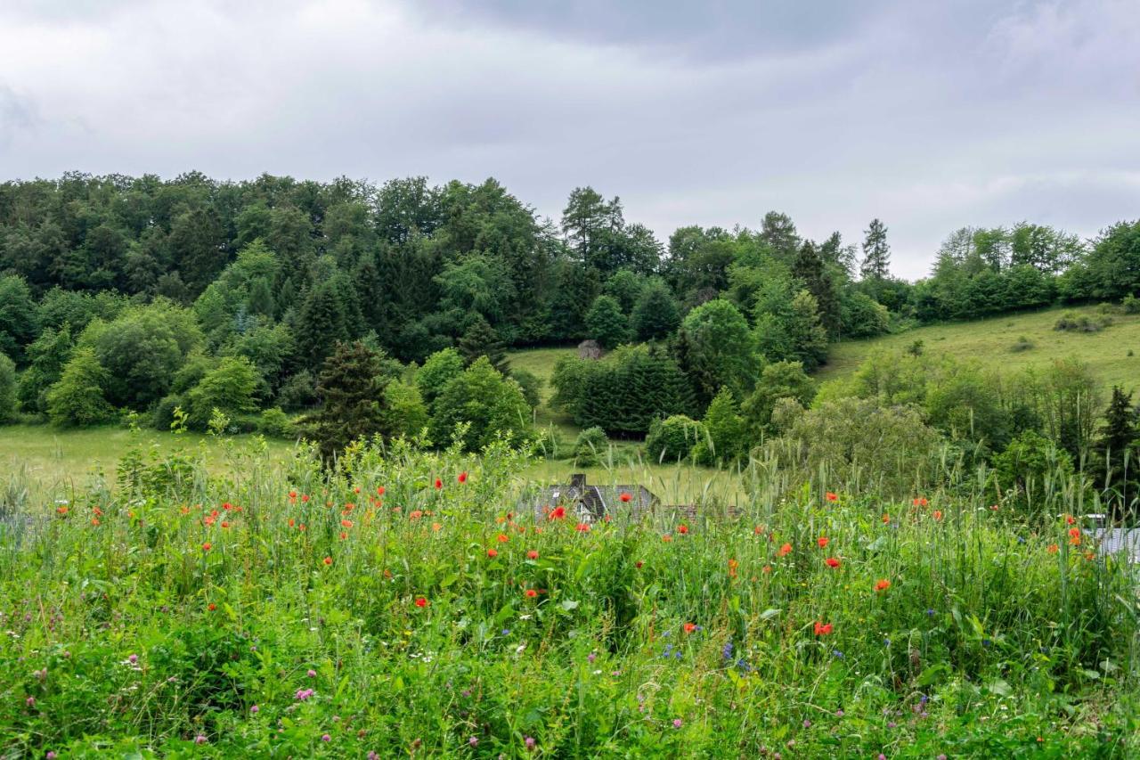 The Conscious Farmer Bed And Breakfast Sauerland Віллінген Екстер'єр фото