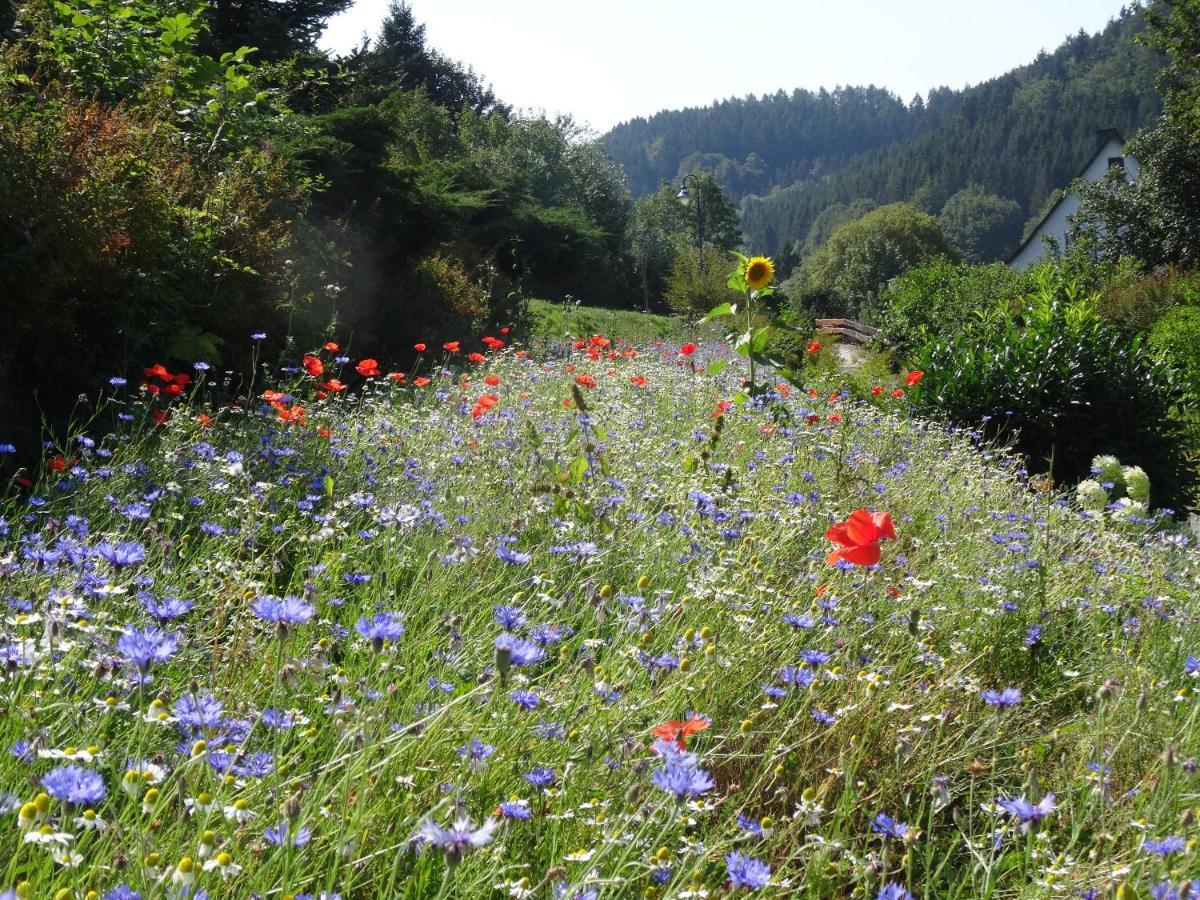 The Conscious Farmer Bed And Breakfast Sauerland Віллінген Екстер'єр фото