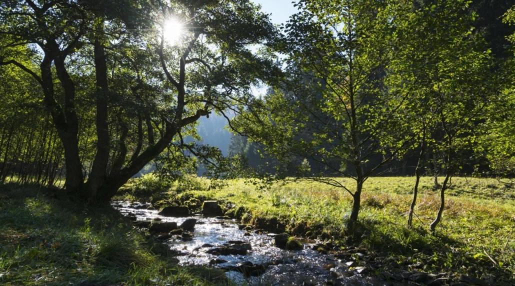 The Conscious Farmer Bed And Breakfast Sauerland Віллінген Екстер'єр фото