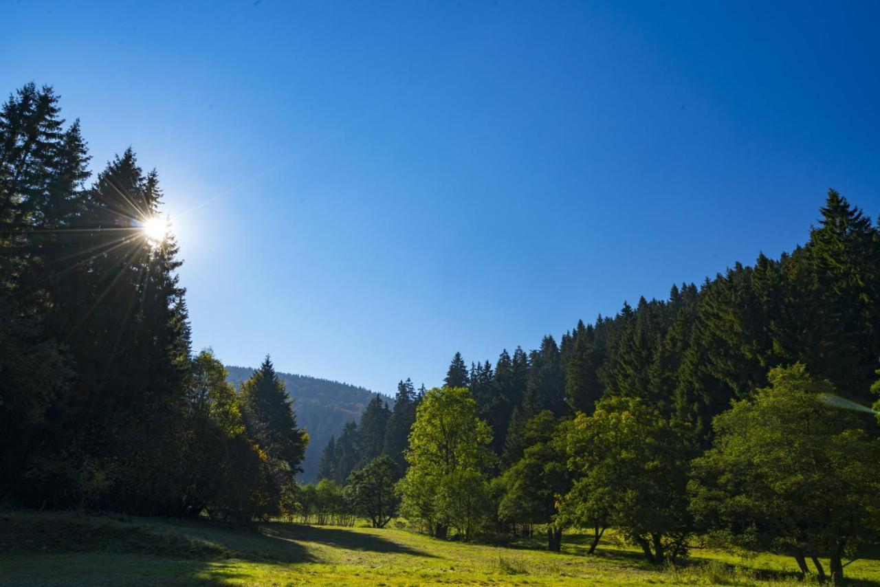 The Conscious Farmer Bed And Breakfast Sauerland Віллінген Екстер'єр фото