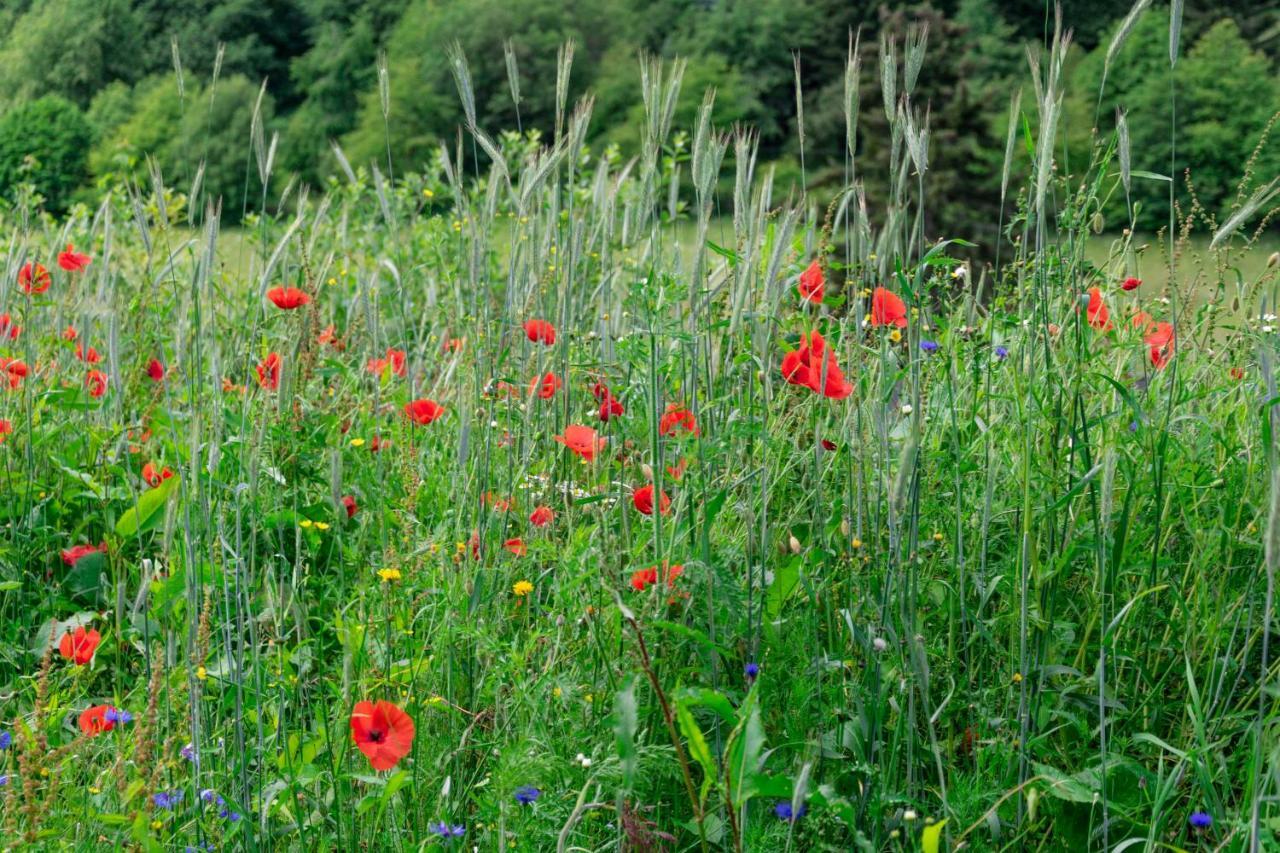 The Conscious Farmer Bed And Breakfast Sauerland Віллінген Екстер'єр фото